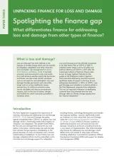 First page of Spotlighting the finance gap