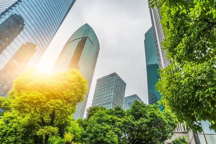 Green trees and skyscrapers with the sun in the background