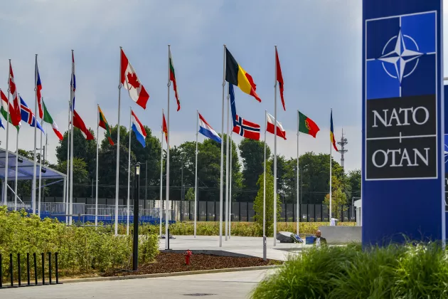 Flags of NATO countries