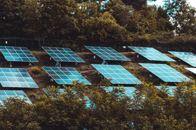 Solar panels in a forest