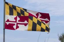 Maryland's state flag
