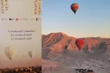 Transitional committee flyer next to a photo of balloons flying