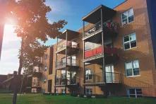 short multistory building with trees out front and nice sunlight