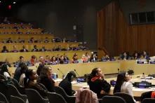 official commemoration of the International Day for the Elimination of Violence against Women