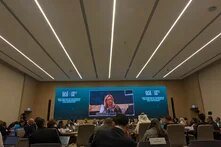 photo of a loss and damage fund board meeting with Liane Schalatek speaking