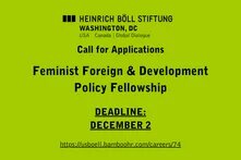 green background with text about Call for Applications for 2025 Feminist Foreign and Development Policy Fellowship