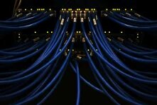 blue ethernet cables plugged into a server