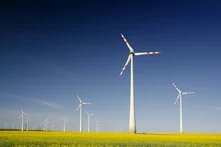 multiple wind turbines on a yellow field with a clear sky