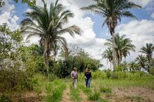 Photo: Two people walk along a narrow path in a lush, tropical landscape with tall palm trees. The sky is partly cloudy.