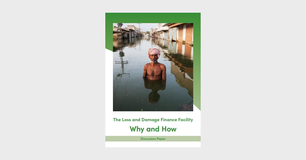 The Loss and Damage Finance Facility: Why and How | Heinrich Böll ...