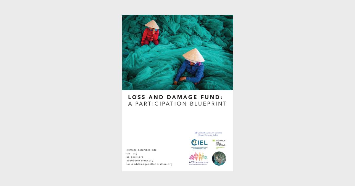 Loss and Damage Fund: A Participation Blueprint | Heinrich Böll ...