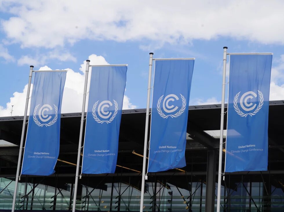 UNFCCC flags waving in the wind