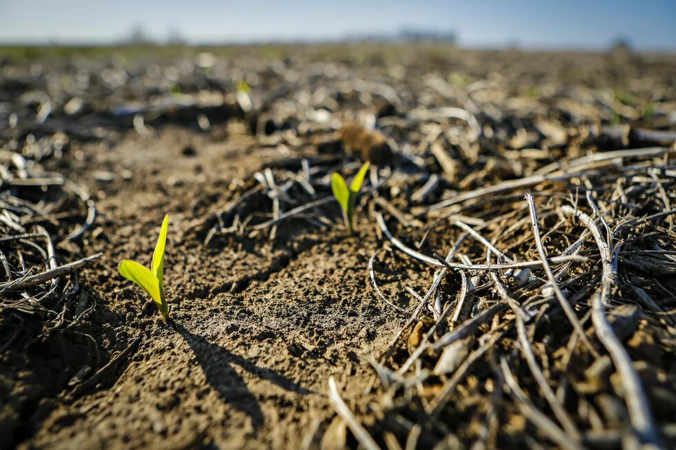 Save Our Soils!