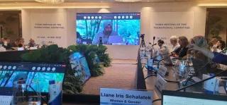man speaking on screen at third transitional committee meeting