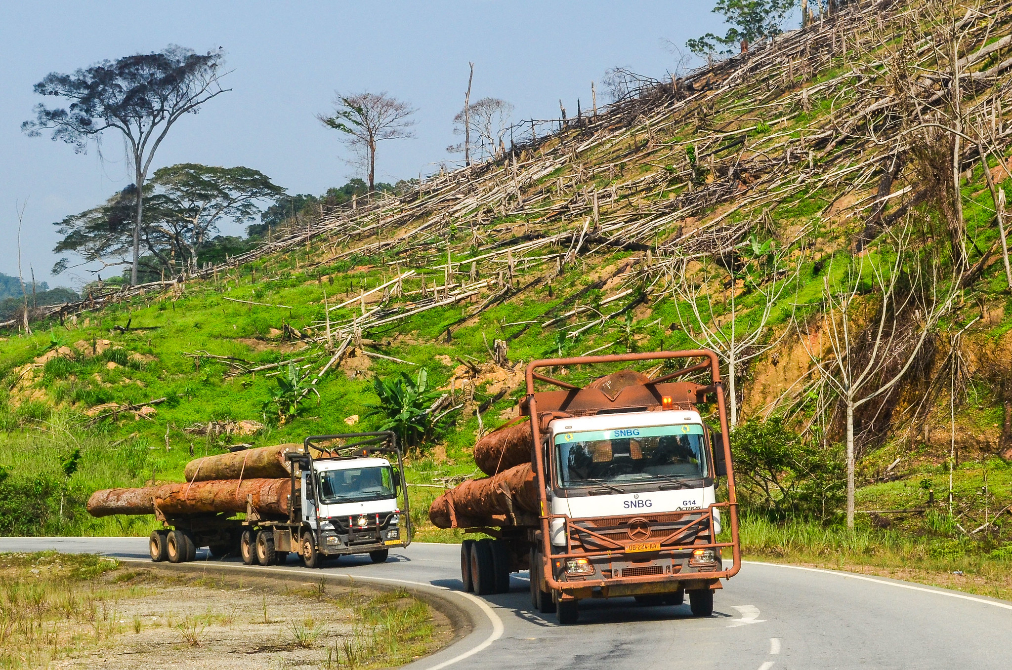 green-climate-fund-squandering-scarce-climate-funds-by-financing-redd